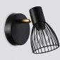 Настенно-потолочный спот Ambrella light TRADITIONAL TR8659