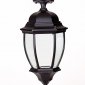 Потолочный светильник уличный Oasis Light ARSENAL L 91205LA Bl