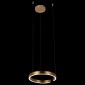 Подвесной светодиодный светильник Loft IT Ring 10013S