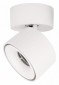 Спот Loft IT Focus 10323/A White