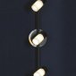 Светильник настенный Lussole Siliqua LSQ-6101-03