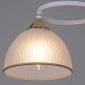 Потолочная люстра Reluce 68560-0.3-02 WH+FG