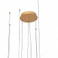 Подвесной светодиодный светильник Loft IT Ring 10017/4L