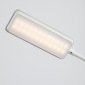 Офисная настольная лампа NLED-499-10W-W