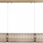Подвесной светильник Saguaro SL6144.313.01