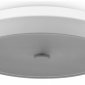 Накладной светильник Freya LED FR10012CL-L24W
