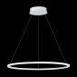 Подвесной светильник ST Luce ST604 OUT ST604.543.34