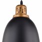 Подвесной светильник Arte Lamp Eurica A4245SP-1BK