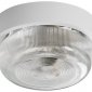 Потолочный светильник Kanlux TUNA 8091
