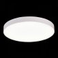 Потолочный светодиодный светильник ST Luce ST606.542.96