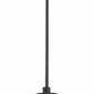 Подвесной светильник Odeon Light Pasti 4967/1A