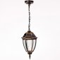 Уличный светильник подвесной Oasis Light 91205S Gb