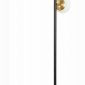 Торшер Evoluce Forli SLE220405-03