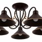 Потолочная люстра Evoluce Ciolla SLE120402-05