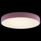 Потолочный светильник Loft IT Axel 10002/24 Pink