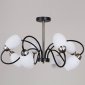 Потолочная люстра  01270-0.3-08B BK+AB