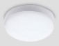 Уличный светодиодный светильник Ambrella light Street ST8626