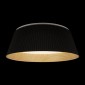 Потолочный светильник Loft IT Evans 10224 Black
