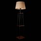 Торшер Loft IT Cara 10574F