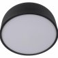 Потолочный светильник Loft IT Axel 10201/350 Black