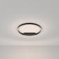 Потолочный светильник Maytoni Rim MOD058CL-L35BK