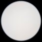 Потолочный светильник Loft IT Axel 10001/36 Grey