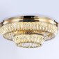 Потолочный светодиодный светильник Ambrella light Traditional TR5031