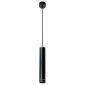 Подвесной светодиодный светильник Arte Lamp Altais A6110SP-2BK