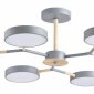 Потолочная люстра Lumion Brad 5651/99CL