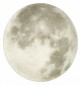 Настенно-потолочный светодиодный светильник Sonex Moon 3084/DL