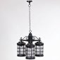 Уличный светильник подвесной Oasis Light 81270/3 Bl