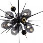 Потолочная люстра DeLight Collection Burst 9720P-10S black/smoky