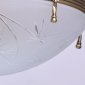 Потолочный светильник MW-Light Афродита 317012905