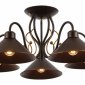 Потолочная люстра Evoluce Ciolla SLE120402-05