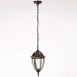 Уличный светильник подвесной Oasis Light 91205S Gb