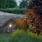 Грунтовый светильник Oasis Light W12636