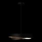 Подвесной светильник Petale 10256P Black