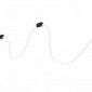 Подвесной светильник Loft IT Thread 10388B Black