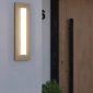 Уличный настенный светодиодный светильник Eglo Bitetto 900679