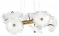 Подвесная люстра Loft IT Bloom 10352/650 AB