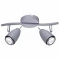Настенно-потолочный светильник Arte Lamp Regista A1966AP-2GY
