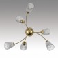 Потолочная люстра Lumion Imana 8154/6C