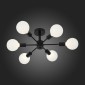 Потолочная люстра ST Luce Ano SL419.402.06