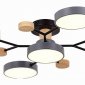 Потолочная люстра EVOLUCE Faema SLE6006-702-05
