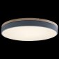 Потолочный светильник Loft IT Axel 10001/36 Grey