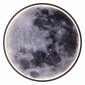 Настенно-потолочный светодиодный светильник Escada Planet 10226/SG LED Moon