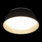 Потолочный светильник Evans 10224 Black