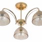 Люстра на штанге Rivoli Terri Б0060988