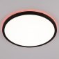 Настенно-потолочный светильник Basic Line CL738321EL