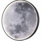 Настенно-потолочный светодиодный светильник Escada Planet 10226/SG LED Moon